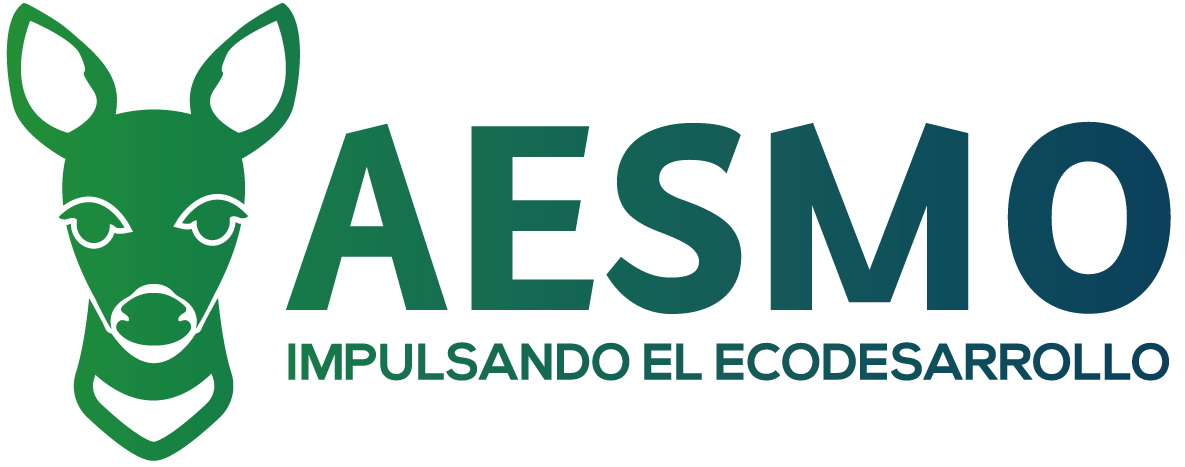 AESMO Logo
